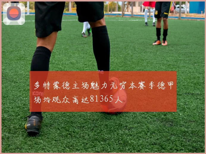 多特蒙德主场魅力无穷本赛季德甲场均观众高达81365人