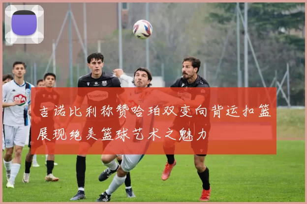 吉诺比利称赞哈珀双变向背运扣篮展现绝美篮球艺术之魅力