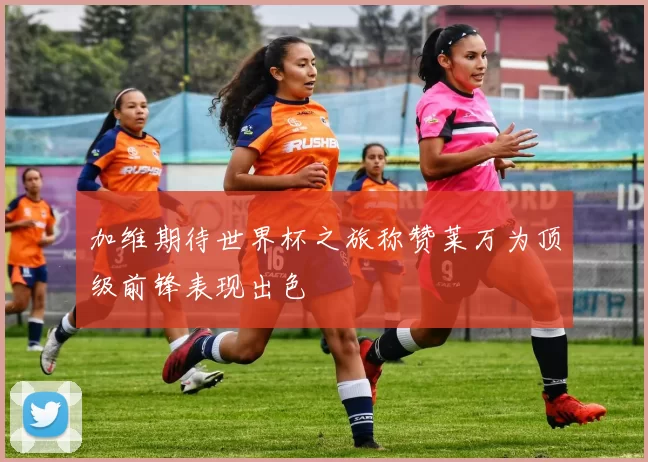 加维期待世界杯之旅称赞莱万为顶级前锋表现出色